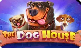 Verde Casino offre il gioco online The Dog House